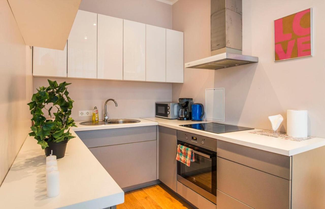 Central 2-Level Penthouse With Terrace And Free Parking Riga Luaran gambar